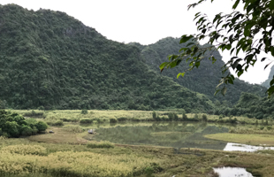 Route secondaire vers Cuc Phuong et Tam Coc